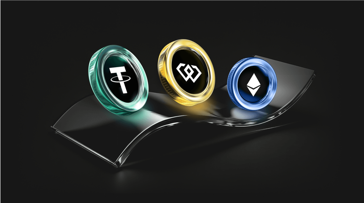 What is The Lion (LIONSOL) Coin