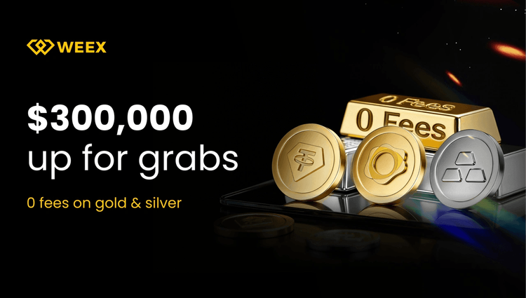 PAX Gold (PAXG) vs. Traditional Assets: Building a Multi-Asset Hedge on WEEX in 2026