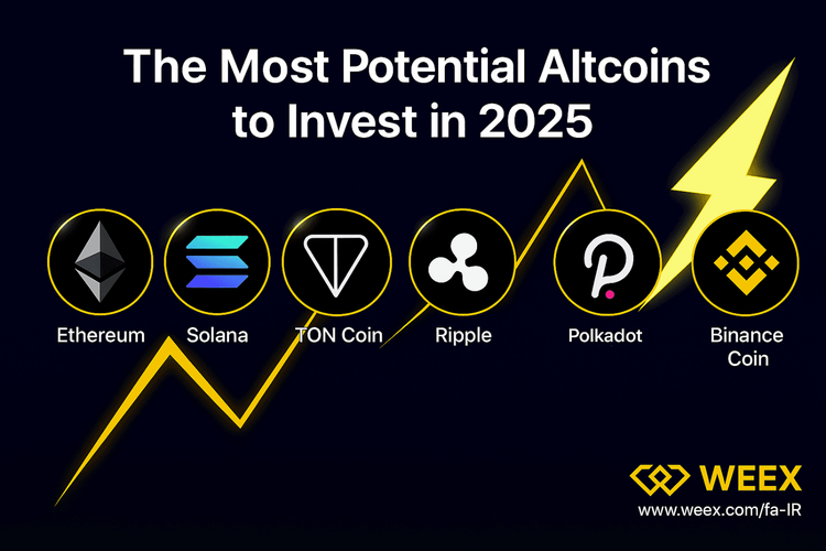 Best Altcoins to Invest in 2025 | A Comprehensive Guide for Iranian Users on WEEX Exchange