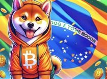 BNB Chain Memecoins 2026: A Guide for Brazilians
